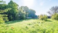 Prodej zemědělské usedlosti 260 m² s barokní sýpkou a pozemkem o rozloze 4 336 m² s potenciálem pro zastavění - Budyně nad Ohří