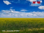 Prodej pole, 142115 m², Pňov-Předhradí