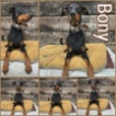 Dobrman