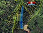 Prodej lesa, 26218 m², Rusava