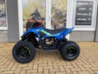 CFMOTO, Gladiator X110