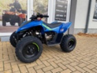 CFMOTO, Gladiator X110