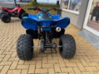 CFMOTO, Gladiator X110
