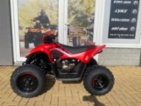 CFMOTO, Gladiator X110