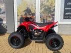 CFMOTO, Gladiator X110