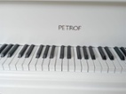 Klavír Petrof model V (160cm)