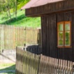 Prodej chalupy 214, Lučany nad Nisou.Krásná