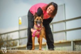 Belgický ovčák – Malinois