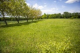 prodej stavebmí parcely 1400 m2, Bukvice, Jičín