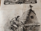 Humoristické listy rok 1860