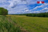 Prodej trvalého travnatého porostu, 10644 m², Otročiněves