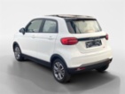 Leapmotor T03, hatchback, elektro