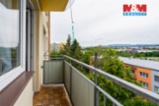 Prodej bytu 3+1, 58 m², České Budějovice, ul. Čéčova