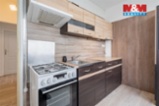 Prodej bytu 3+1, 58 m², České Budějovice, ul. Čéčova