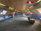 Kanc. prostor 200 m², Sviadnov 