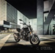 Benelli 502c / 35kW, nakedbike
