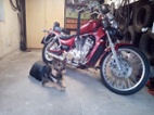 Suzuki Intruder 800