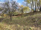 Netvořice/okr Benešov/- statek+16000 m2