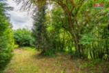 Prodej chaty, 62 m², Pavlíkov