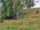 Prodej ostatní, 802 m², Pila