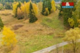 Prodej ostatní, 802 m², Pila
