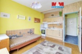 Prodej bytu 1+1, 36 m², Litvínov, ul. Čapkova