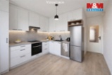Prodej bytu 4+1, 74 m², Záchlumí
