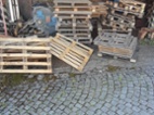 Daruji za odvoz dřevěné palety a jiné