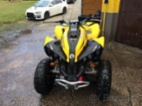 Can-Am, Renegade 800R