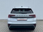 Škoda Kodiaq, Selection 2,0TDI 142kW 4X4 7°, SUV,