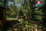 Prodej chaty, 40 m², Újezd nade Mží, okr. Plzeň-sever
