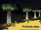 Pletená vrba SALIX, americká vrba
