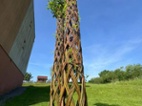 Pletená vrba SALIX, americká vrba