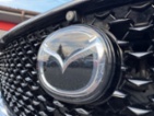 Mazda CX-30, 2.0i X-180 Ad.LED Bose Kamera, SUV,