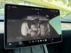 Tesla Model Y, Standrart Range LFP Tažné, SUV,