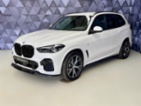 BMW X5, 40d xDrive M-PAKET, DRIVE ASSI, SUV, nafta