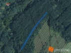 Prodej lesa 4772 m2 