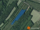 Prodej 1/12 pozemku 1497 m2.