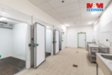 Prodej obchod a služby, 1150m², ul.Dobrovského,Frýdek-Místek