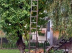 Starý dřevěný žebřík 680 cm