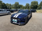 Ford Mustang, 5.0 V8 Performance Coyot, kupé,