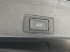 Cupra Terramar, SUV, SUV, benzin