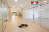 Pronájem komerčního prostoru, 50 m², Benešov