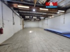 Výrobní objekt 220m², Sviadnov 