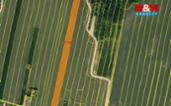 Prodej pole, 1163 m², Tísek
