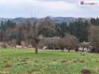 prodej zbořeniště 144 m a trvalého