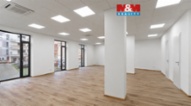 Prodej kancelářského prostoru, 284 m², Plzeň,ul.Ot.Beníškové
