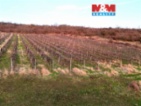 Prodej vinice, 9215 m², Sedlec