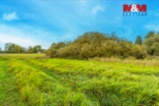Prodej louky 14822 m2 v Jestřebí