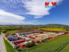 Pronájem provozní plochy, 5000 m², Nové Dvory
